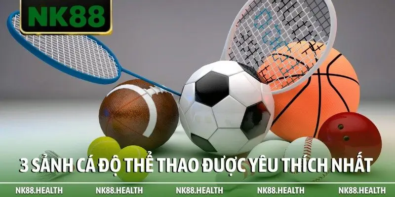 3 sảnh cá độ thể thao được yêu thích nhất